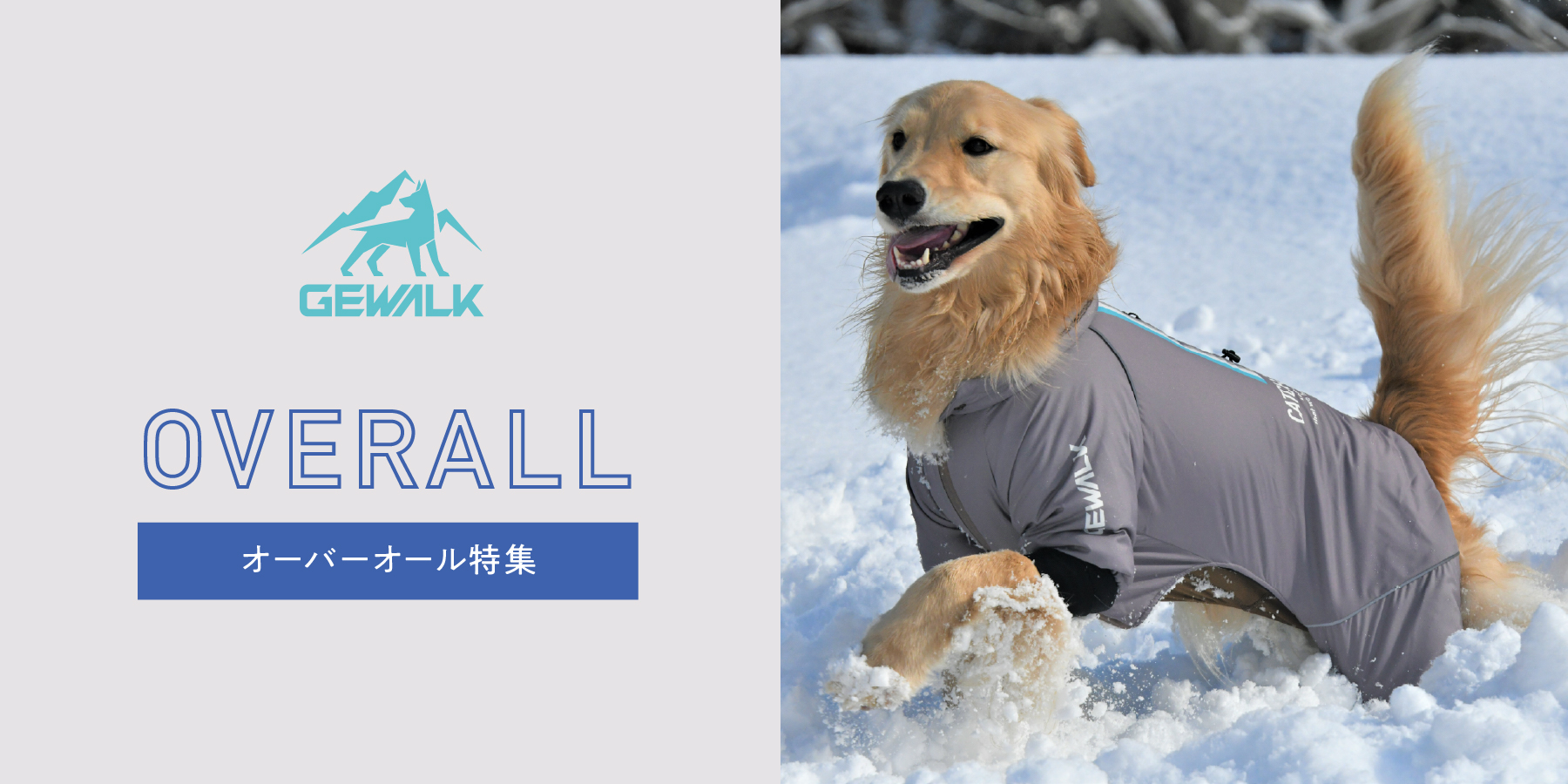 寒い季節のお出かけに