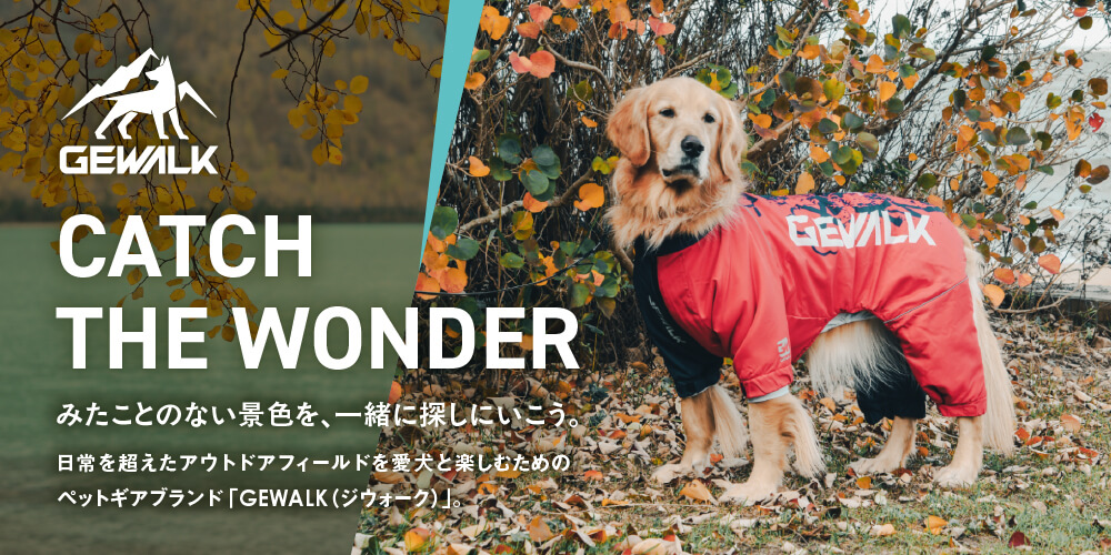 GEWALK