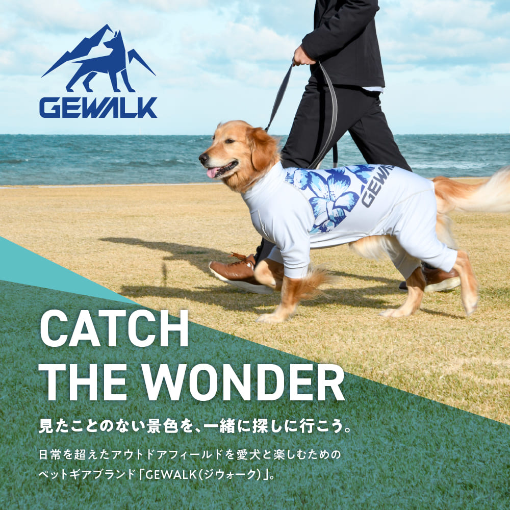 GEWALK THE WONDER