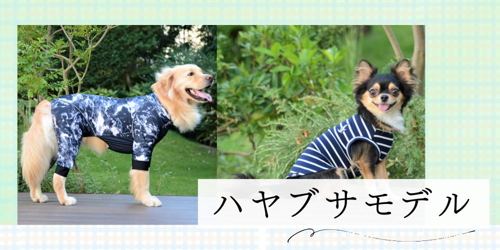 ハヤブサモデル