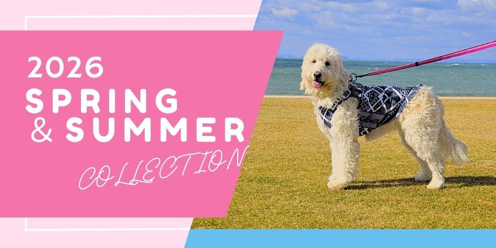 みたことのない景色を、一緒に探しにいこう。