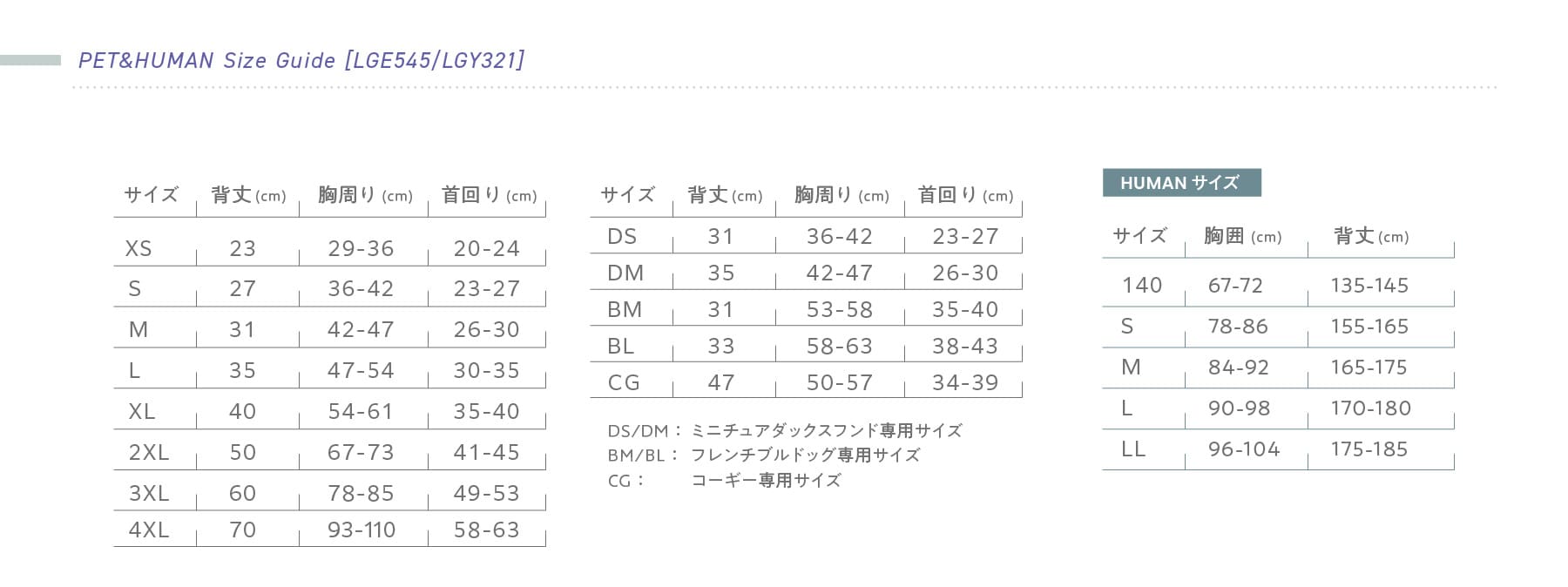 Tシャツサイズガイド・HUMANサイズガイド