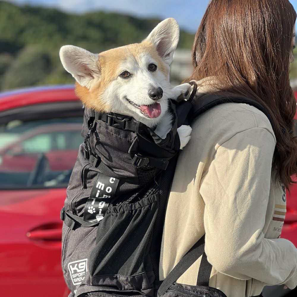 K9 スポーツサックナビゲート（Knavigate）【XS S M L XL】 | LUXCOLLE