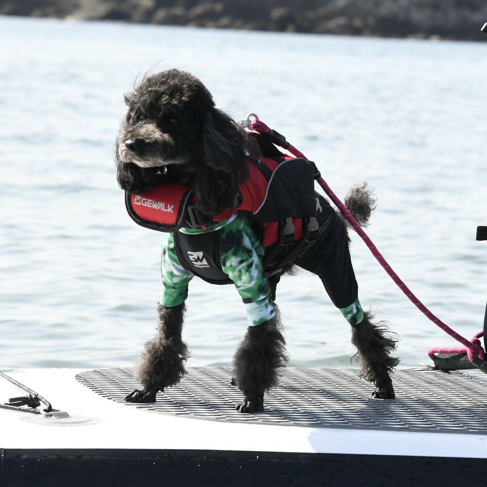 BYCRUISE ブラック ライフジャケット ウェーブライダー エコ ライフジャケット 犬用 【XXSサイズ