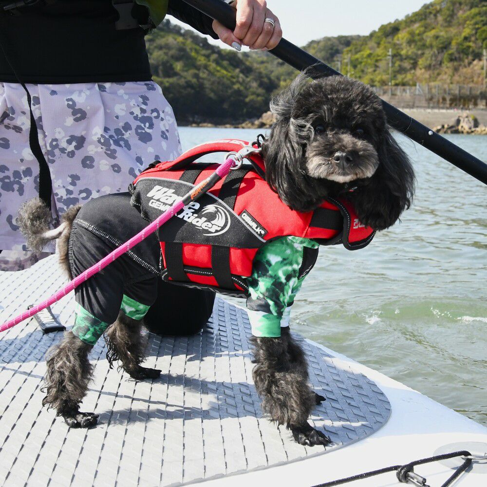 ウェーブライダー エコ ライフジャケット 犬用 【XXSサイズ