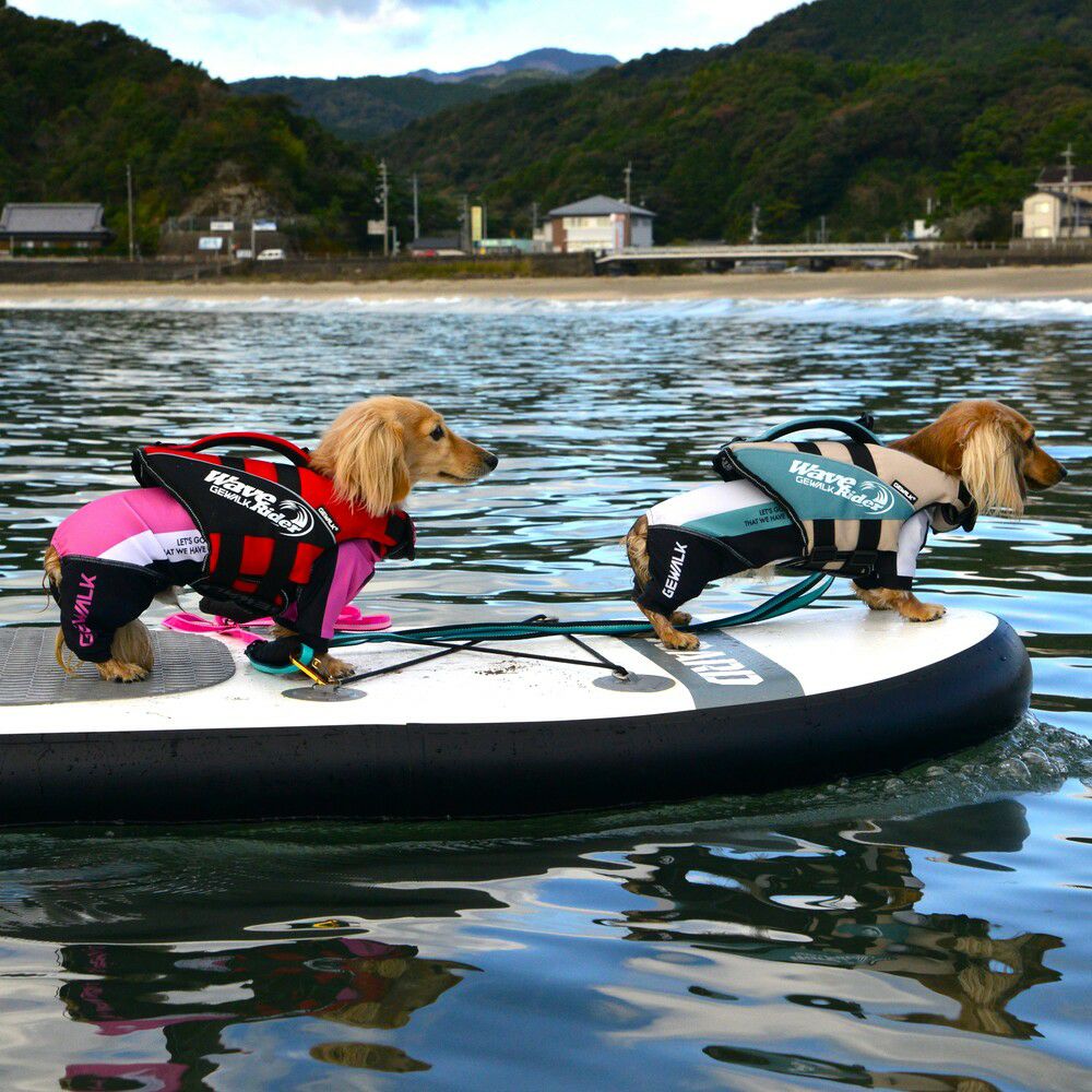 ウェーブライダー エコ ライフジャケット 犬用 【XXSサイズ