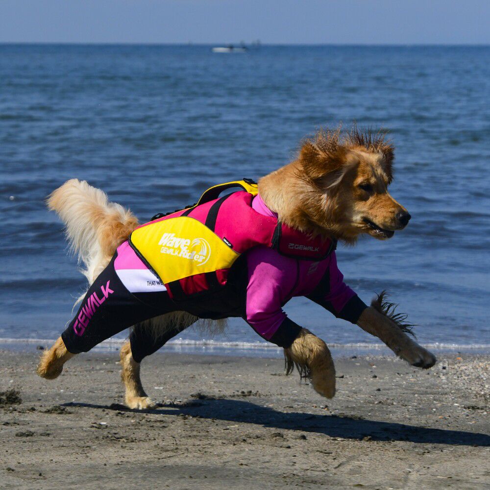 ウェーブライダー エコ ライフジャケット 犬用 【2XLサイズ