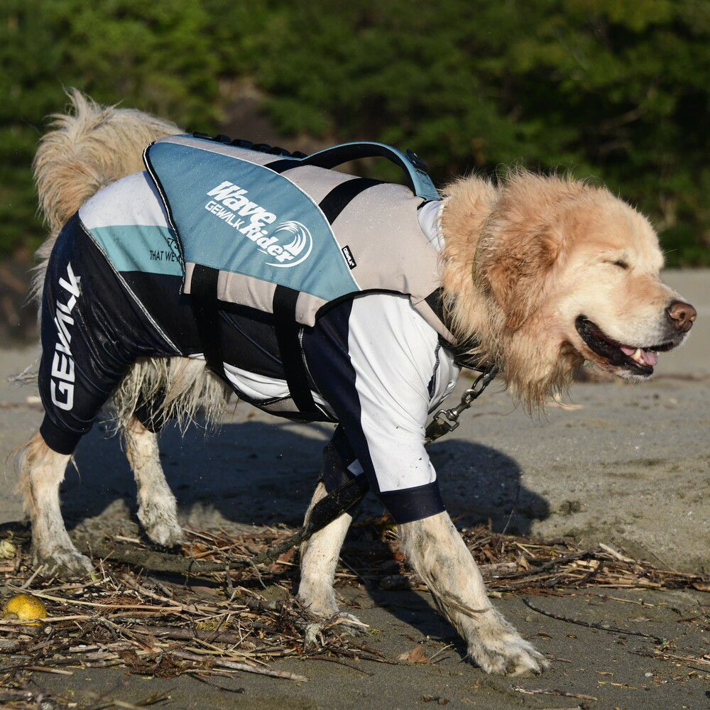ウェーブライダー エコ ライフジャケット 犬用 【2XLサイズ