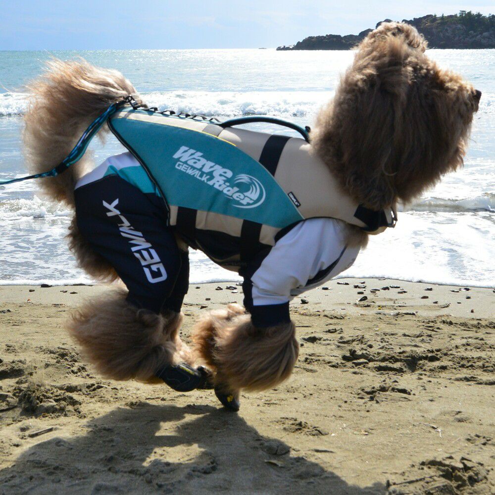ウェーブライダー エコ ライフジャケット 犬用 【3XLサイズ