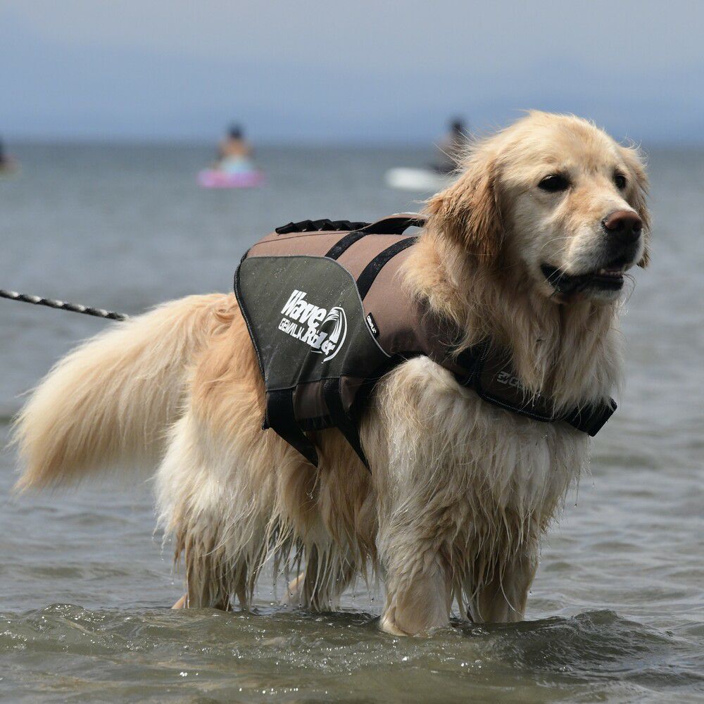 ウェーブライダー エコ ライフジャケット 犬用 【3XLサイズ