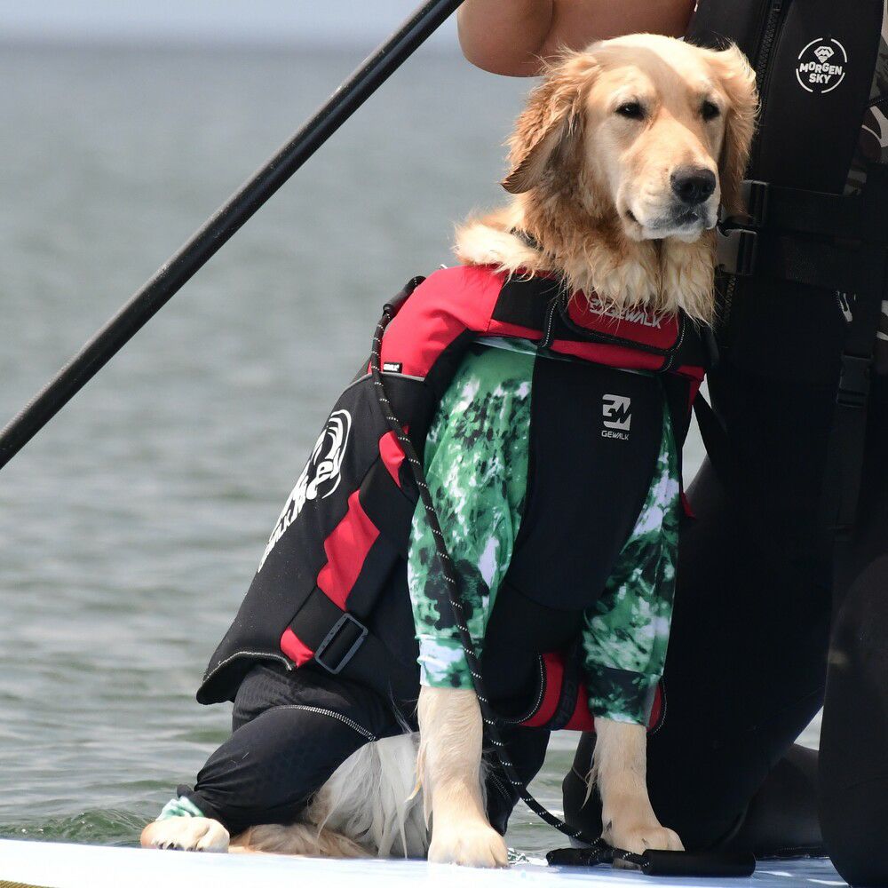 ウェーブライダー エコ ライフジャケット 犬用 【3XLサイズ