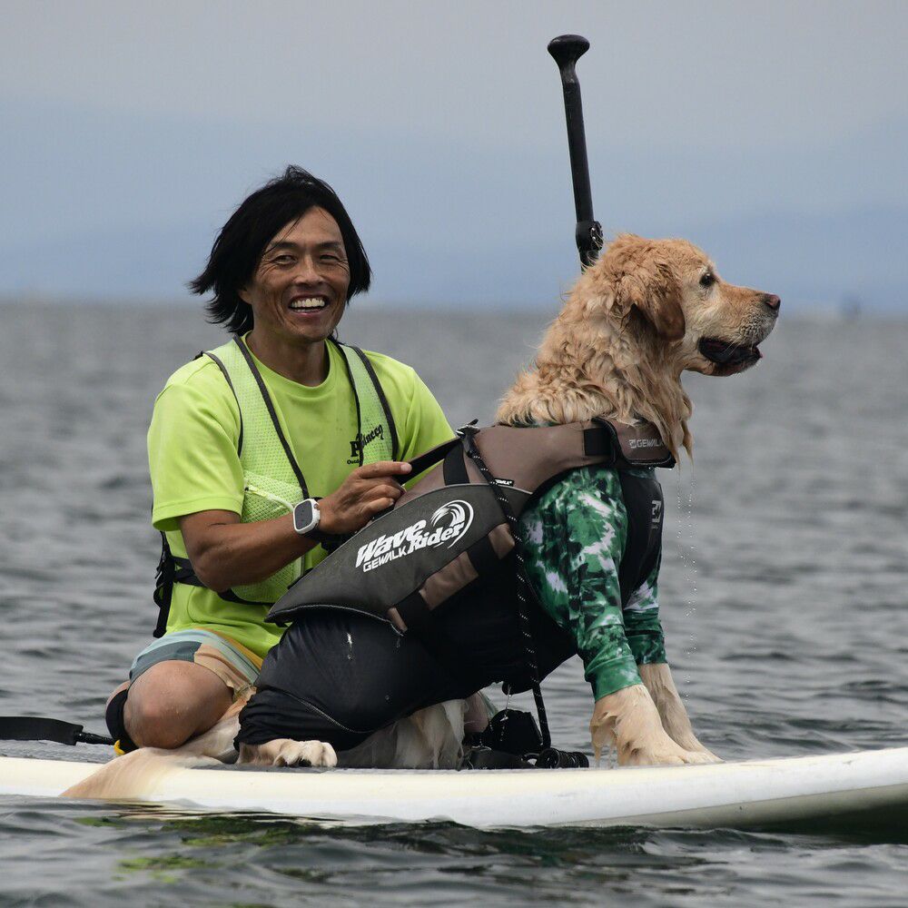 ウェーブライダー エコ ライフジャケット 犬用 【3XLサイズ