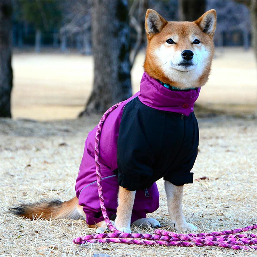 DRIZZLE THERMAL OVERALL 【M】 中綿入り撥水ワンピースジャケット