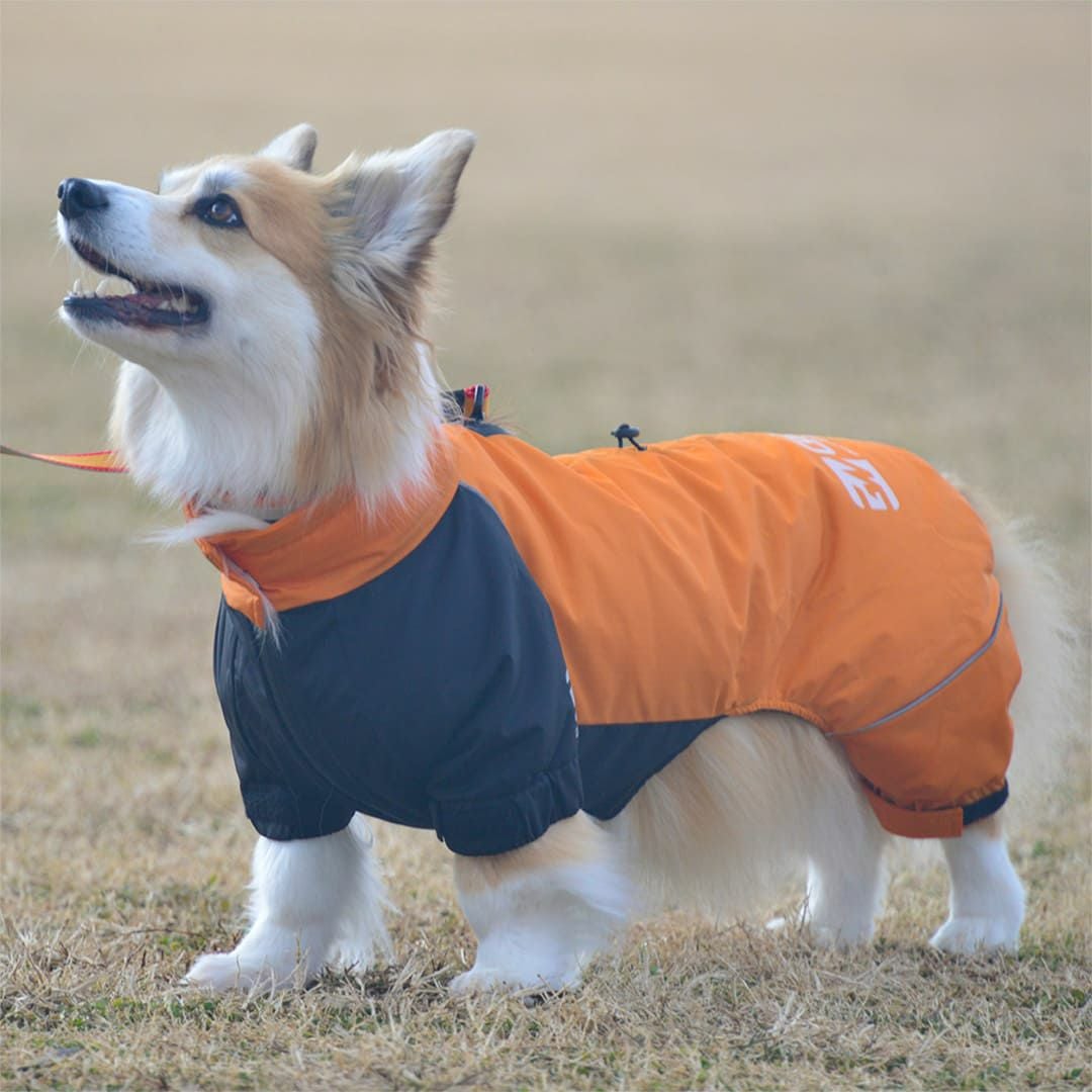 DRIZZLE THERMAL OVERALL 【CG】コーギーサイズ 中綿入り撥水