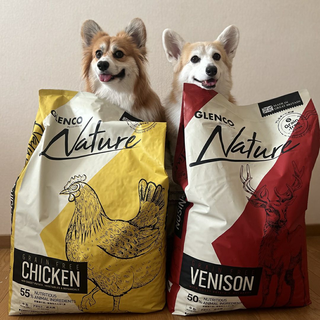 グレンコナチュール グレインフリー アダルト中粒 12kg【チキン