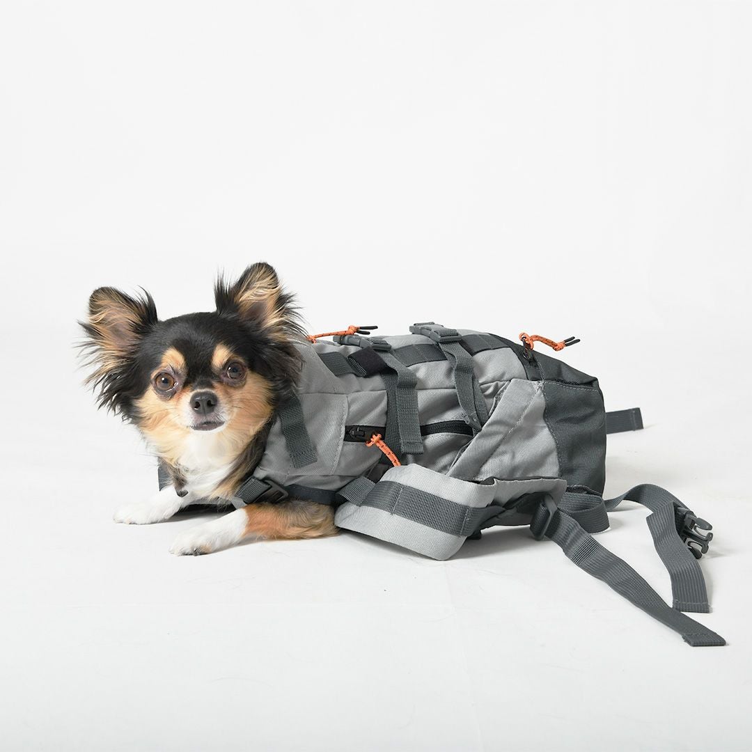 K9スポーツサック　新品　Lサイズ　グレー　B級品　犬用リュック 楽天市場】K9 Sport Sack Knavigate グレー サイズXS | 小型・中型