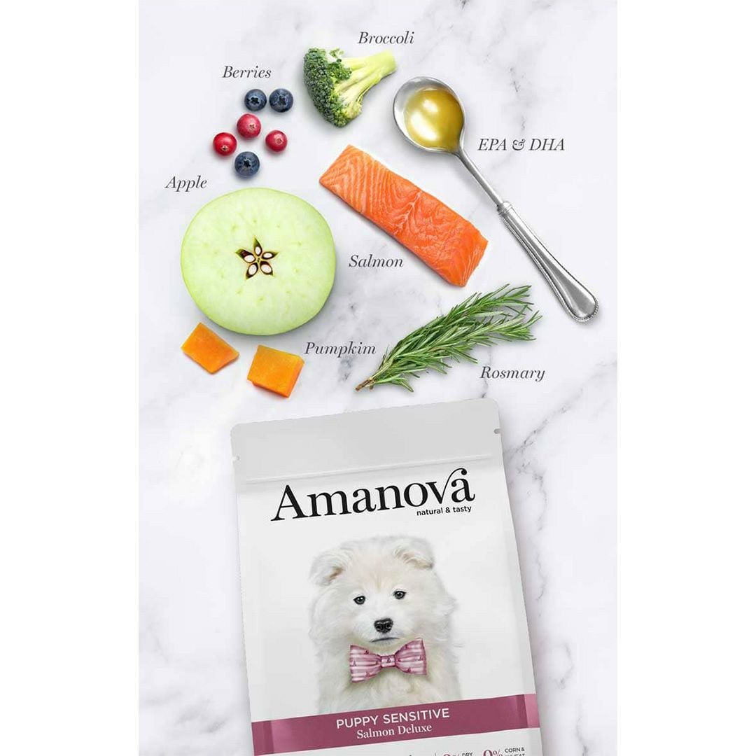 LAM100 パピー センシティブ サーモン デラックス（子犬用・小粒・100g