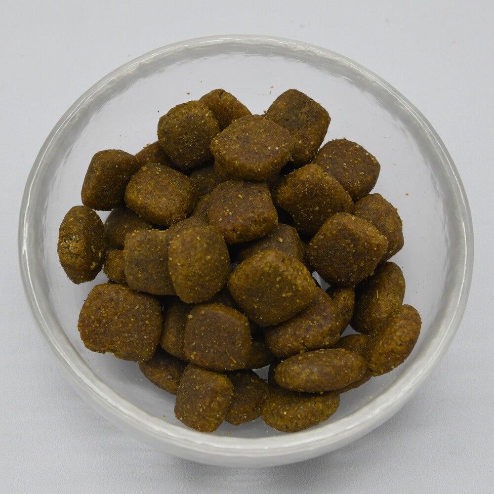ドッグフード danshari55 LAM172 マチュア フィッシュ デリカシー（シニア犬用・中粒・100g/2kg