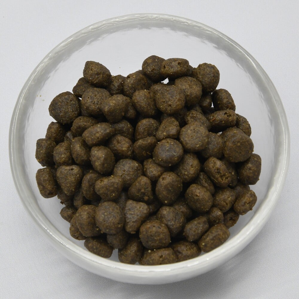 LAM213 アダルト キャット ディバイン ラビット（成猫用・100g/1.5kg