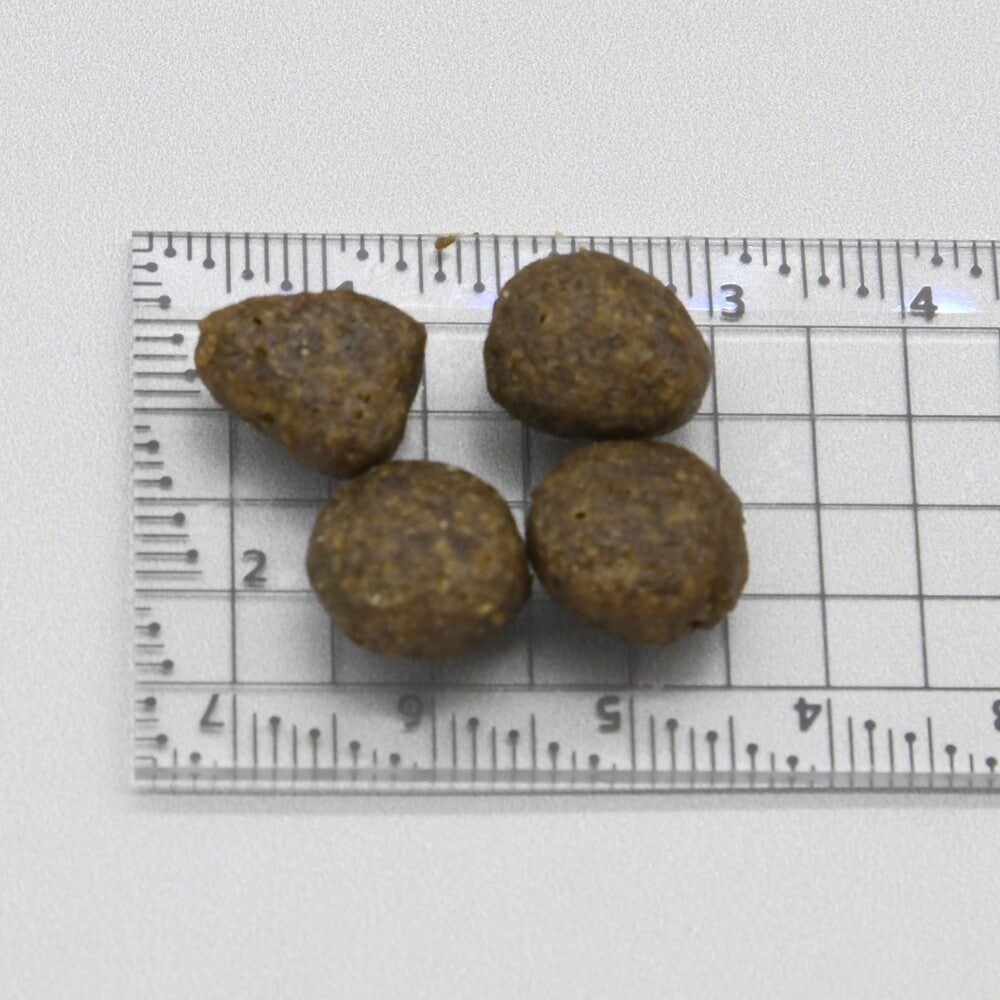 LAM213 アダルト キャット ディバイン ラビット（成猫用・100g/1.5kg