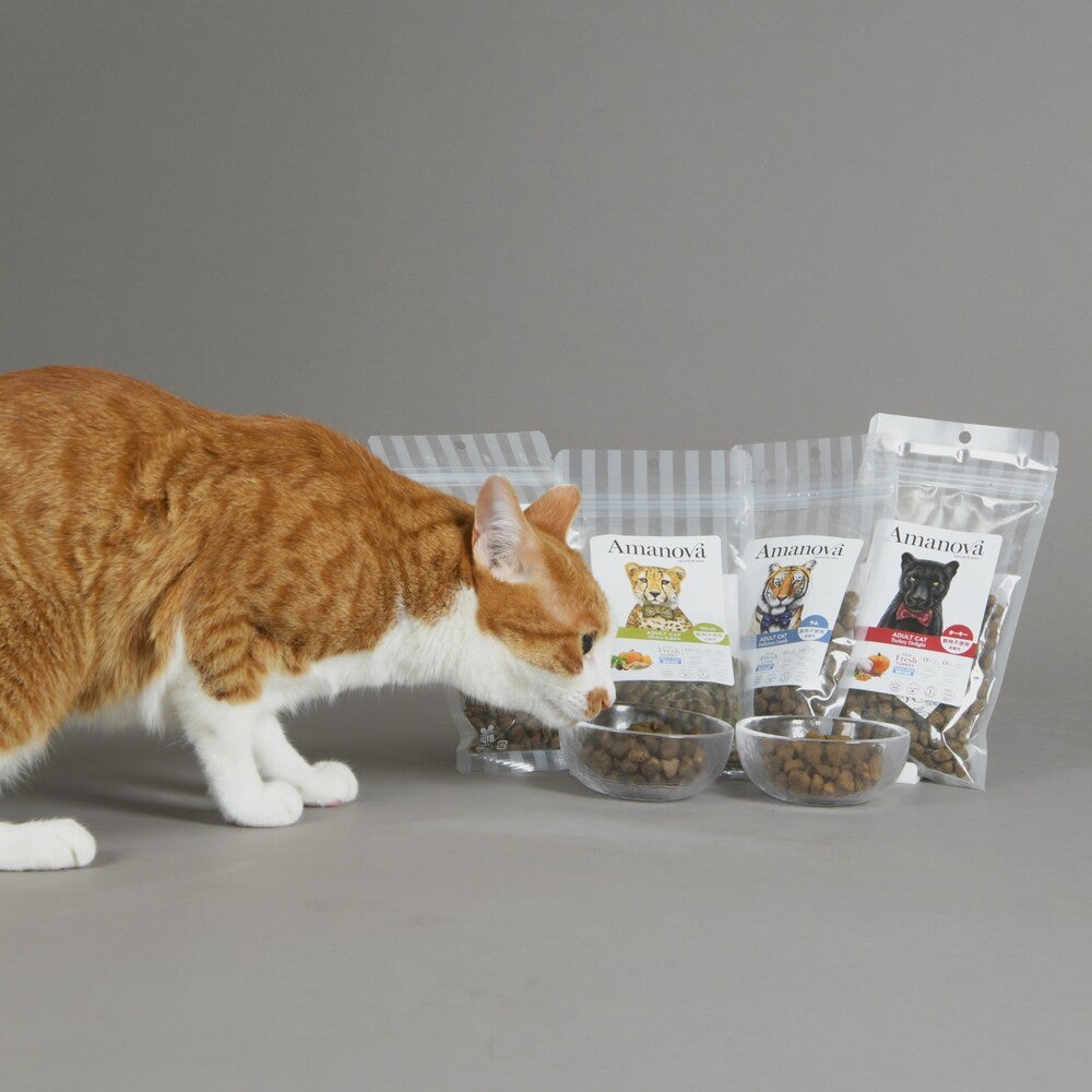 LAM213 アダルト キャット ディバイン ラビット（成猫用・100g/1.5kg