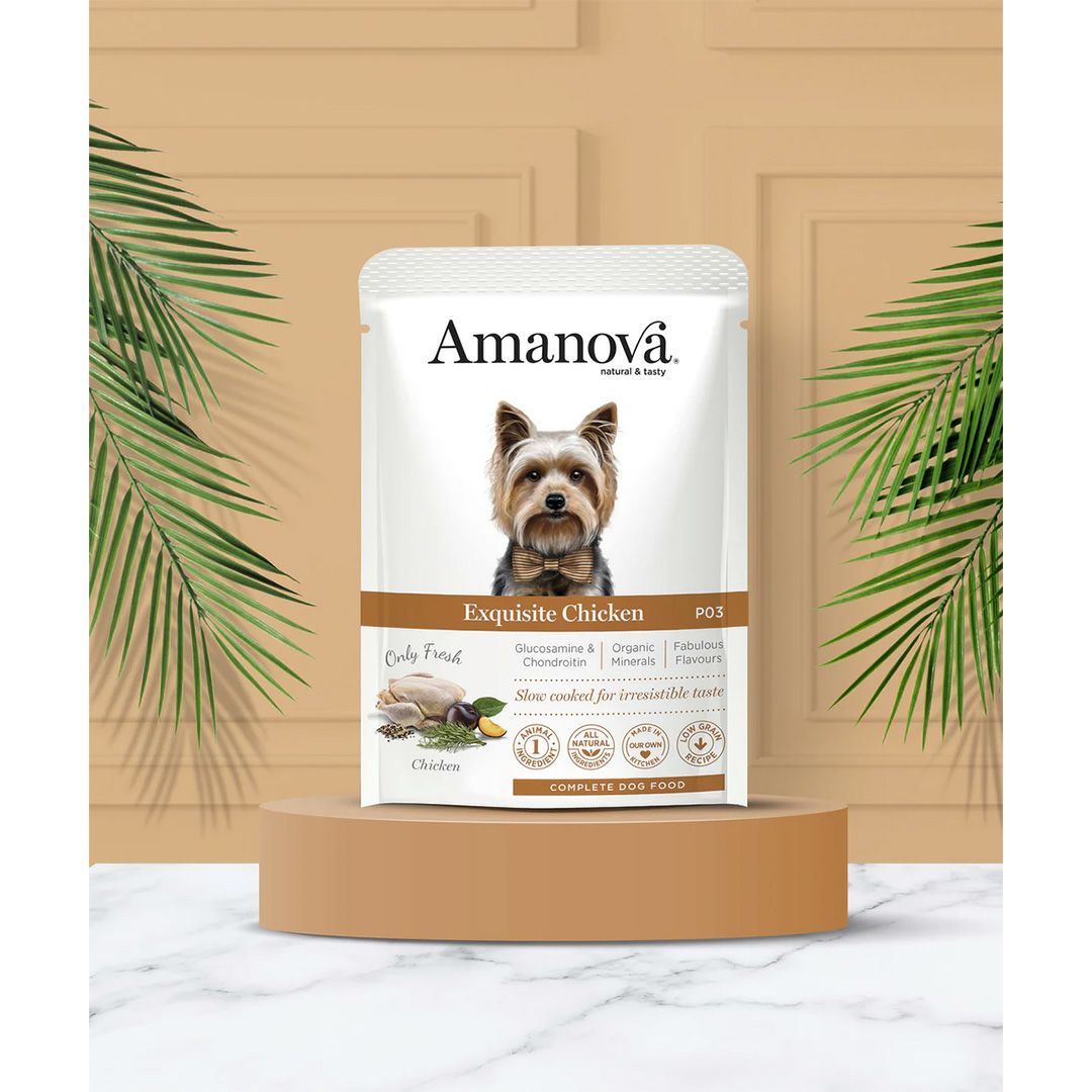 パピー様 LAM300 パウチ パピー エクスクイジット チキン（子犬用・100g/300g
