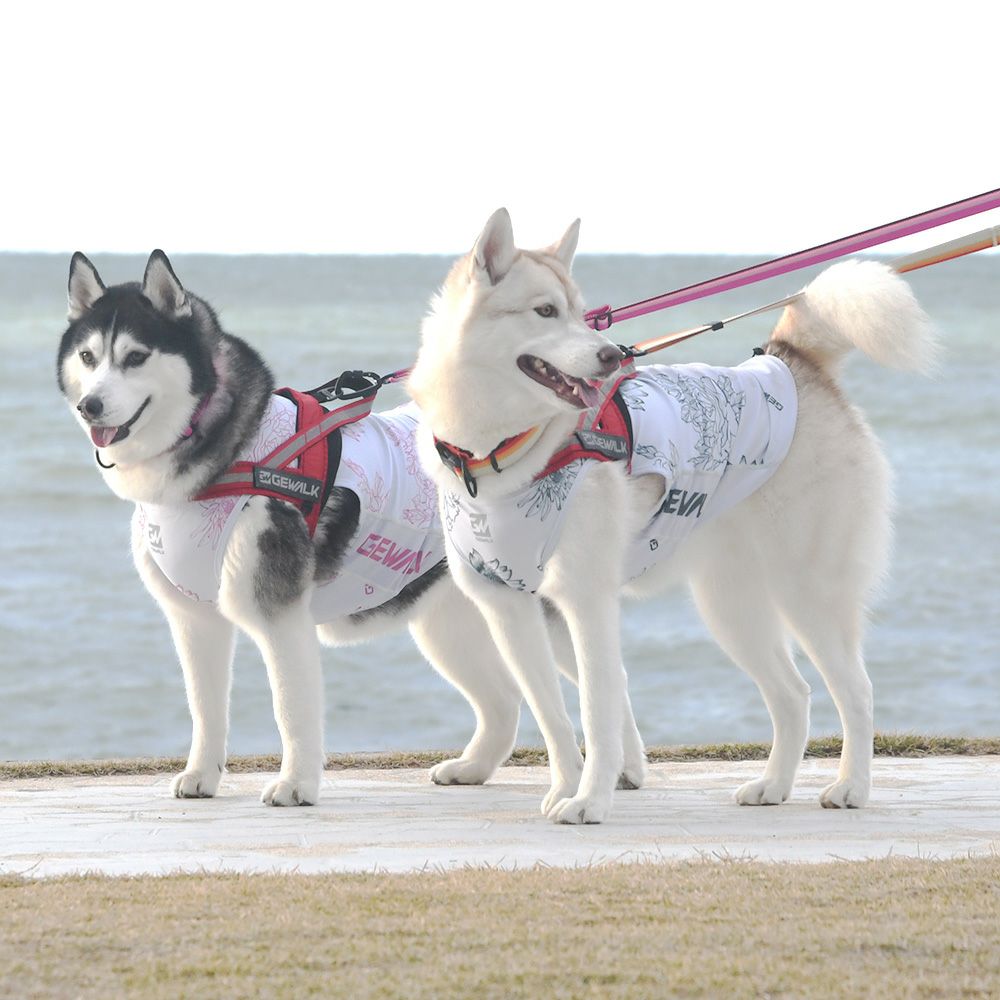 LGE549 大型犬用 ビッグフローラル アクティブ サンシェード タンク