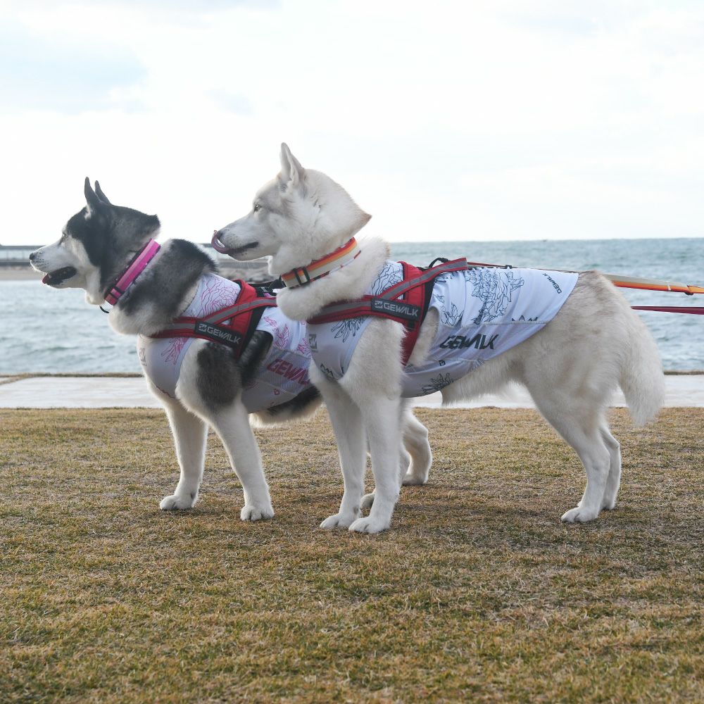 LGE549 大型犬用 ビッグフローラル アクティブ サンシェード タンク