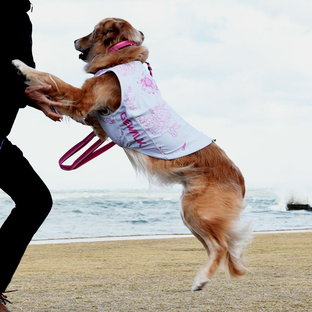 LGE549 大型犬用 ビッグフローラル アクティブ サンシェード タンク