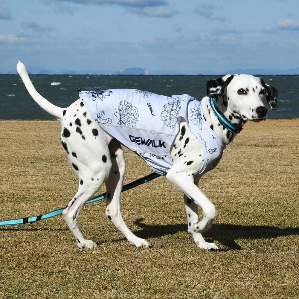 LGE549 大型犬用 ビッグフローラル アクティブ サンシェード タンク