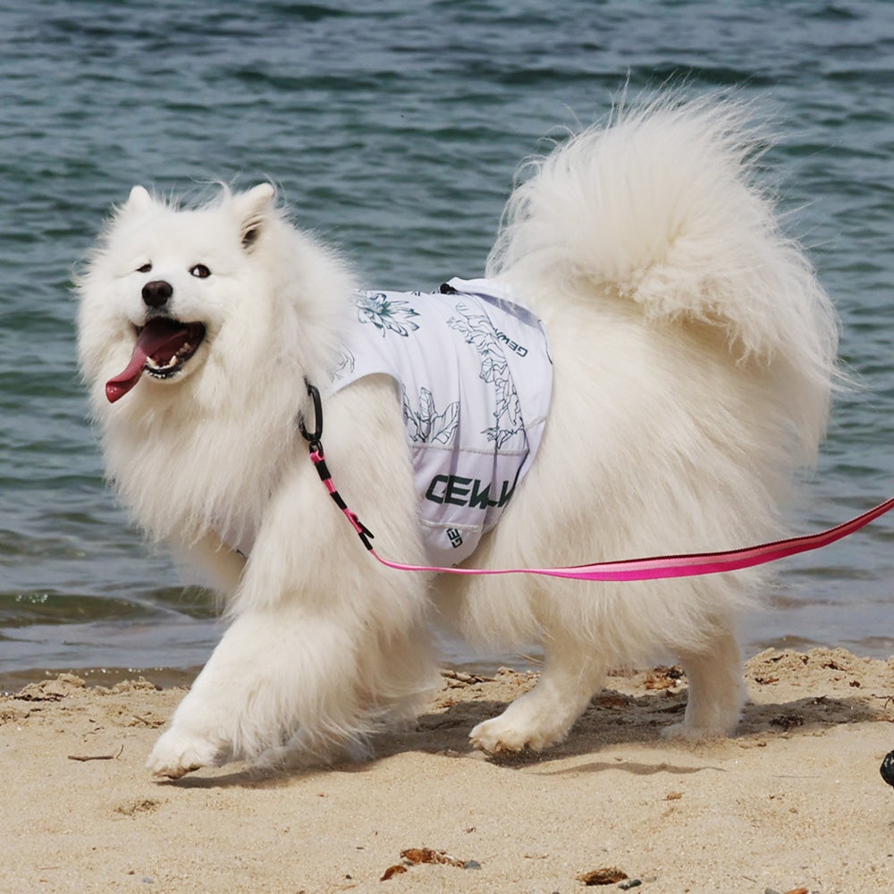 LGE549 大型犬用 ビッグフローラル アクティブ サンシェード タンク