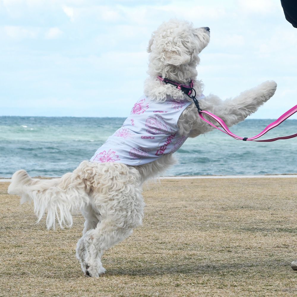 LGE549 大型犬用 ビッグフローラル アクティブ サンシェード タンク