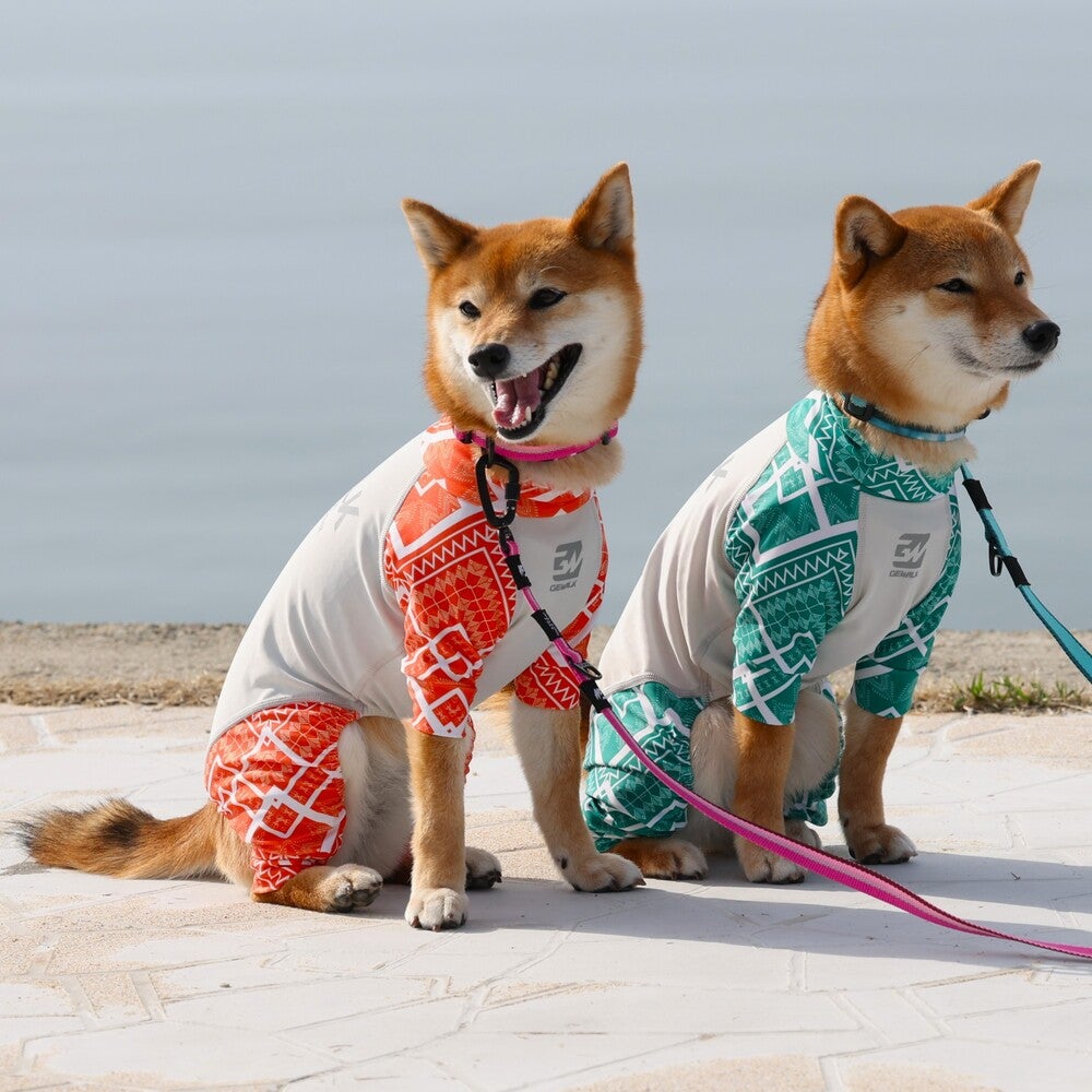 LGE550 中型犬用 ジオメ エスニック マイナス フリージング ロンパース