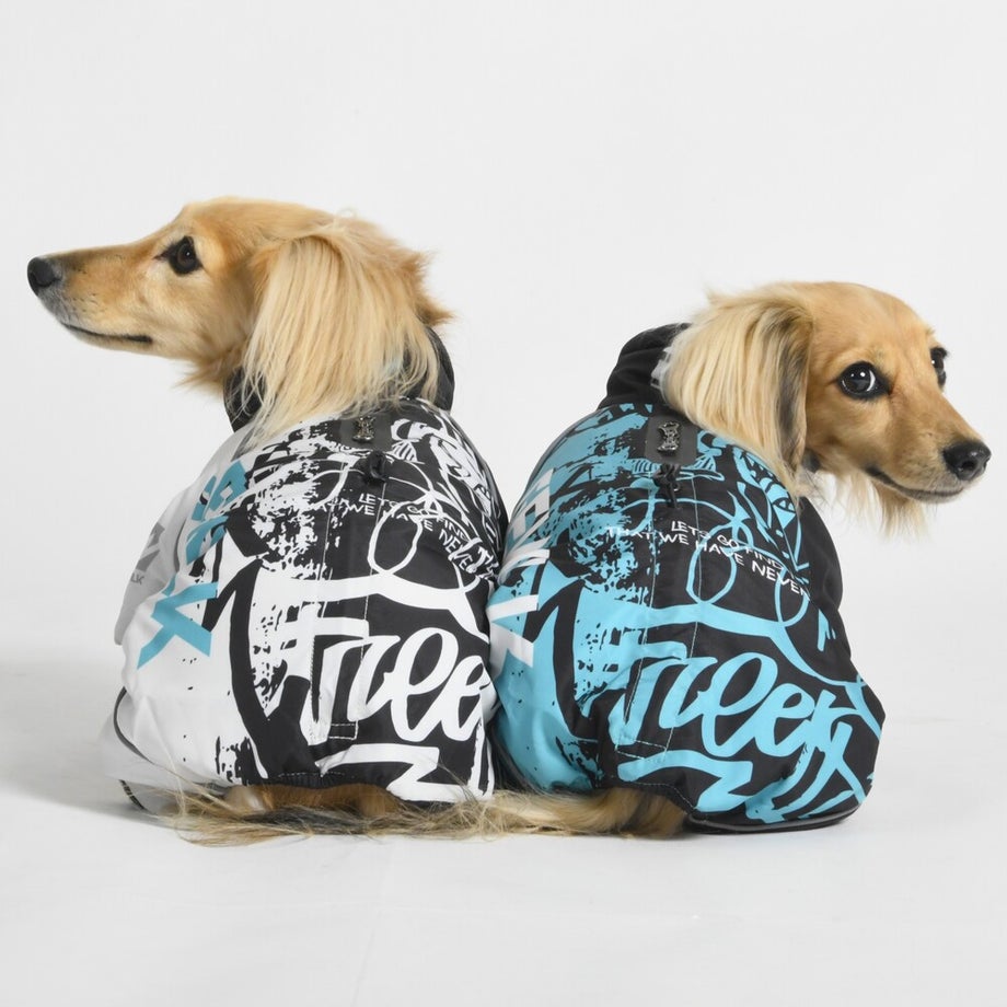 LGE613 柴犬着用画像